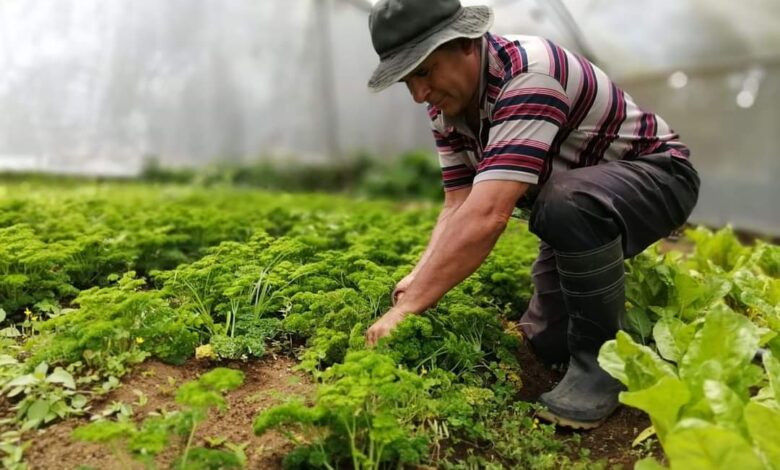 La Agricultura de Costa Rica afectada por guerra burocrática