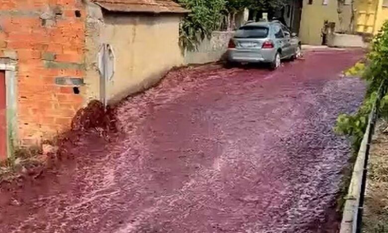 Un río de vino tinto inundó las calles de un pueblo en Portugal