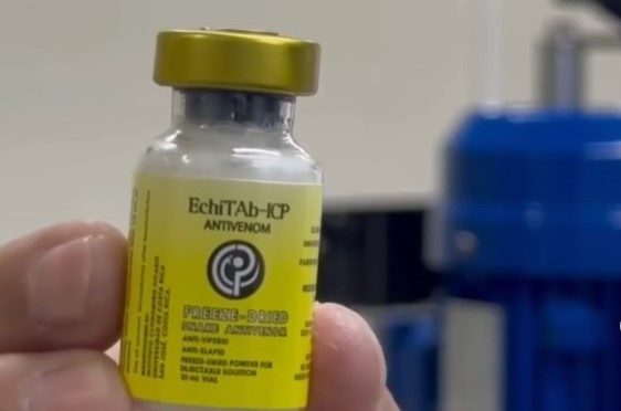 Cruz Roja aplicará suero antiofídico en el lugar del accidente gracias a convenio con la UCR
