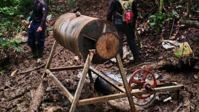 Fuerza Pública desmantela nueve centros de minería ilegal en Crucitas y decomisa maquinaria