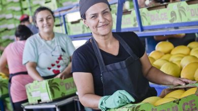 Exportaciones nacionales crecen pese a la incertidumbre global, reporta PROCOMER