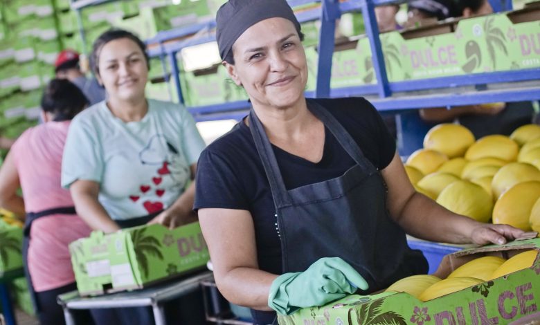 Exportaciones nacionales crecen pese a la incertidumbre global, reporta PROCOMER