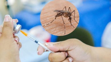 Salud informa sobre un caso sospechoso de fiebre amarilla en Costa Rica