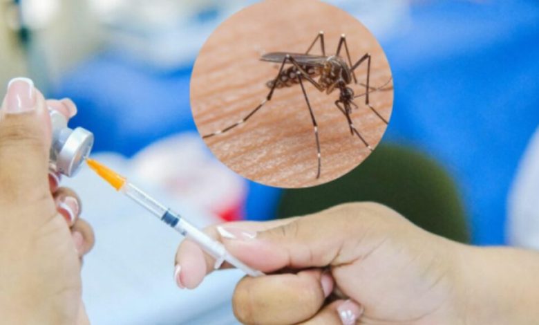 Salud informa sobre un caso sospechoso de fiebre amarilla en Costa Rica