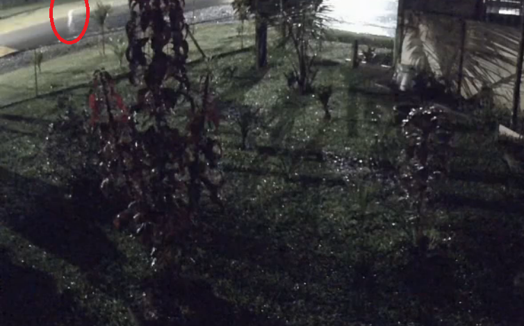 Bebito de 2 años grave tras atropello