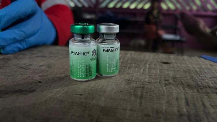 Cruz Roja logra aplicar suero antiofídico a un hombre en zona indígena de Talamanca