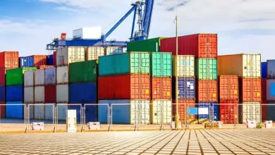 EE. UU. elimina aranceles a productos agrícolas costarricenses y abre oportunidad para exportadores