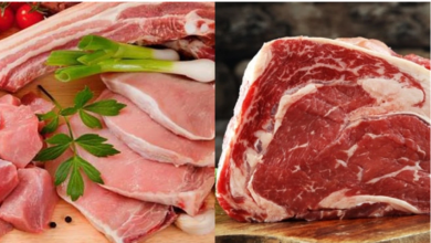 Singapur evalúa plantas cárnicas costarricenses para abrir nuevo mercado