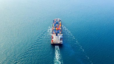 Crecimiento de exportaciones de 16% fortalece sectores productivos y mercados locales