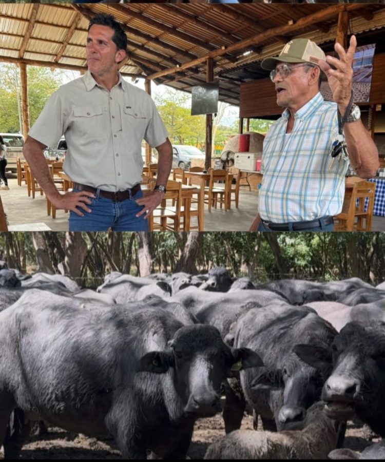 José Aguilar Berrocal enfoca su estrategia electoral en el sector productivo rural