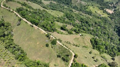 Instituto de Desarrollo Rural invirtió el 100% de su presupuesto este 2025