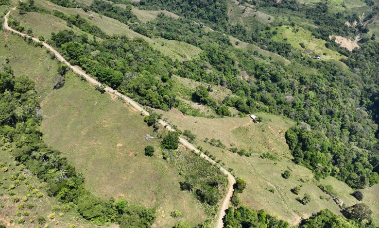 Instituto de Desarrollo Rural invirtió el 100% de su presupuesto este 2025