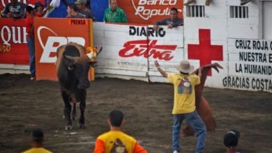 INS pide pólizas obligatorias en corridas de toros del país a participantes