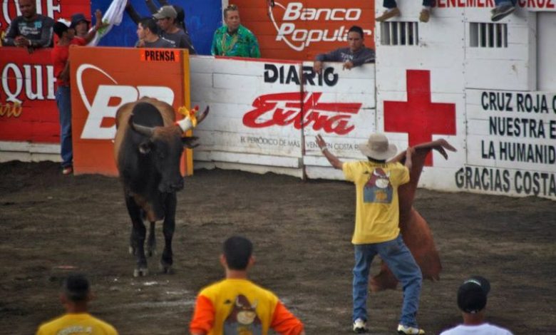 INS pide pólizas obligatorias en corridas de toros del país a participantes