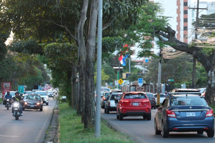 Festival de la Luz 2025: Estos serán los cierres viales y cambios en rutas de autobuses