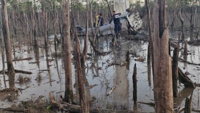 Aeronave siniestrada en Zona Sur deja 309 paquetes de droga decomisados