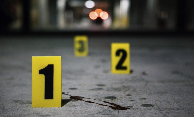 Homicidios suben a 815 víctimas en 2025: San José y Limón lideran cifra