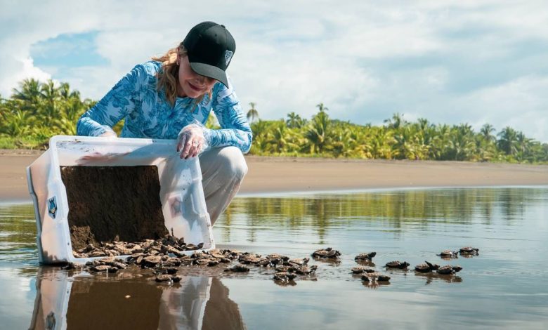 Pueblo Soberano impulsará políticas de protección ambiental