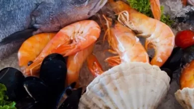 Alerta en Puntarenas: marea roja afecta venta de mariscos