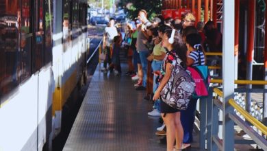 Trenes con servicio especial para el Festival de la Luz 2025