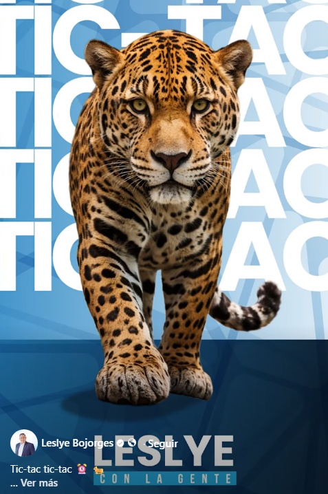 Leslie Bojorge rompe con el PUSC y anuncia su adhesión a Laura Fernández