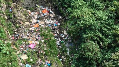 Autoridades investigan posibles fuentes de contaminación en rio Torres