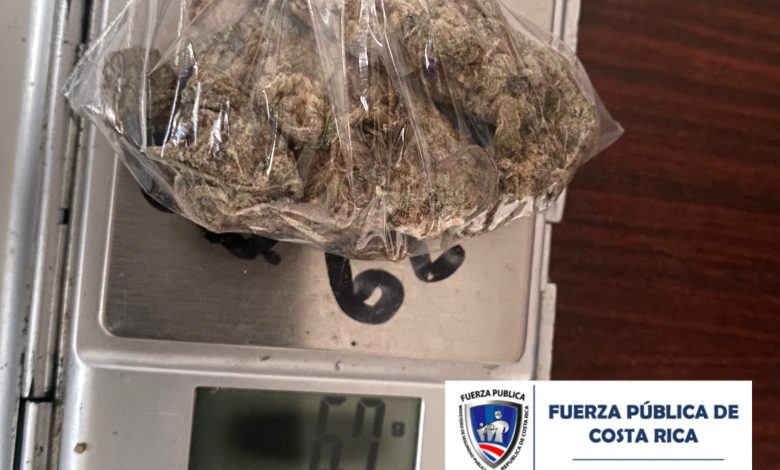 Fuerza Pública reporta 14 incidentes y decomisos de droga y armas en fiestas de Santa Cruz