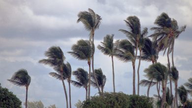 IMN advierte fuertes vientos y lluvias este lunes por influencia de empuje frío en Costa Rica