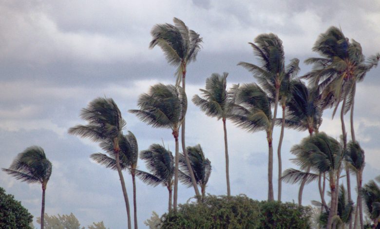 IMN advierte fuertes vientos y lluvias este lunes por influencia de empuje frío en Costa Rica