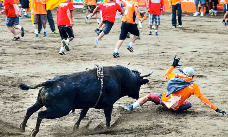 Corridas de toros dejan 11 toreros improvisados y 19 montadores atendidos por el INS