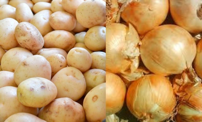 MAG cierra portillos al contrabando de papa y cebolla