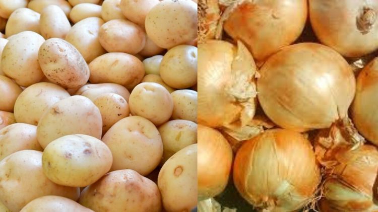 MAG cierra portillos al contrabando de papa y cebolla