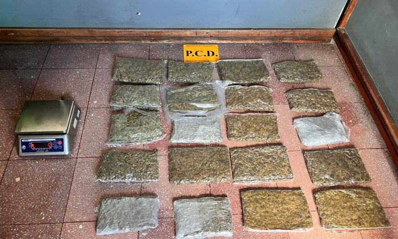 PCD decomisa droga, armas y explosivos en vivienda capitalina