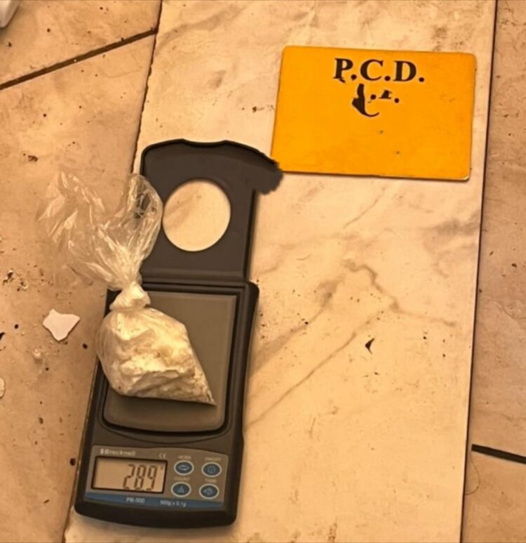 PCD desarticula narcoestructura que operaba en Santa Cruz, Guanacaste