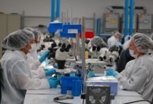 Sector exportador con repunte significativo en el 2025