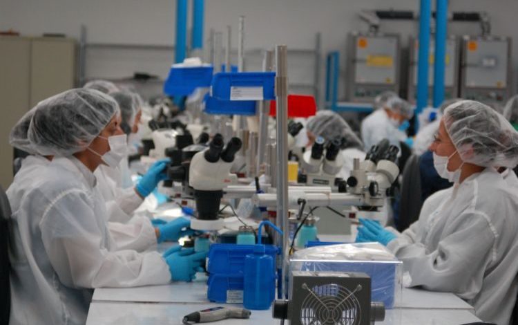 Sector exportador con repunte significativo en el 2025