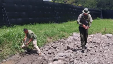 Empresa agrícola en Coris allanada por presunto daño ambiental a humedal y nacientes