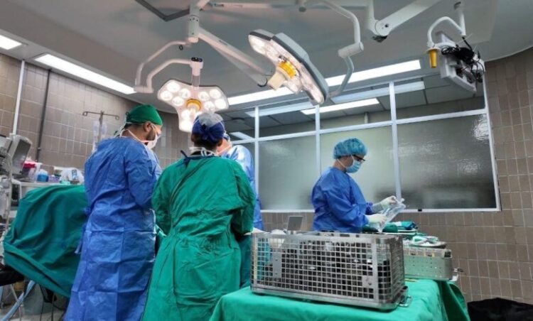 Hospital San Carlos refuerza especialistas y reduce tiempos de espera para pacientes