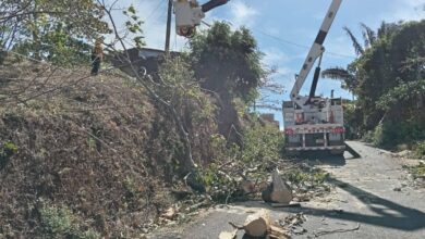 ICE: Fuertes vientos dejan sin electricidad a usuarios en Puntarenas, Guanacaste y Limón