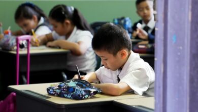 Más de 1 millón de estudiantes regresan a clases en el inicio del curso lectivo 2026