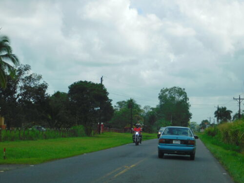 Alerta conductores: más de 100 multas en un mes por un descuido muy común