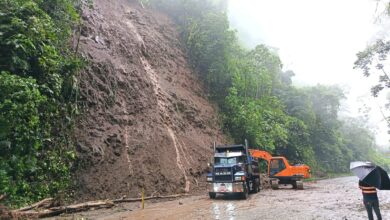 Alerta en Ruta 32: habilitan paso regulado tras desprendimientos en kilómetro 48
