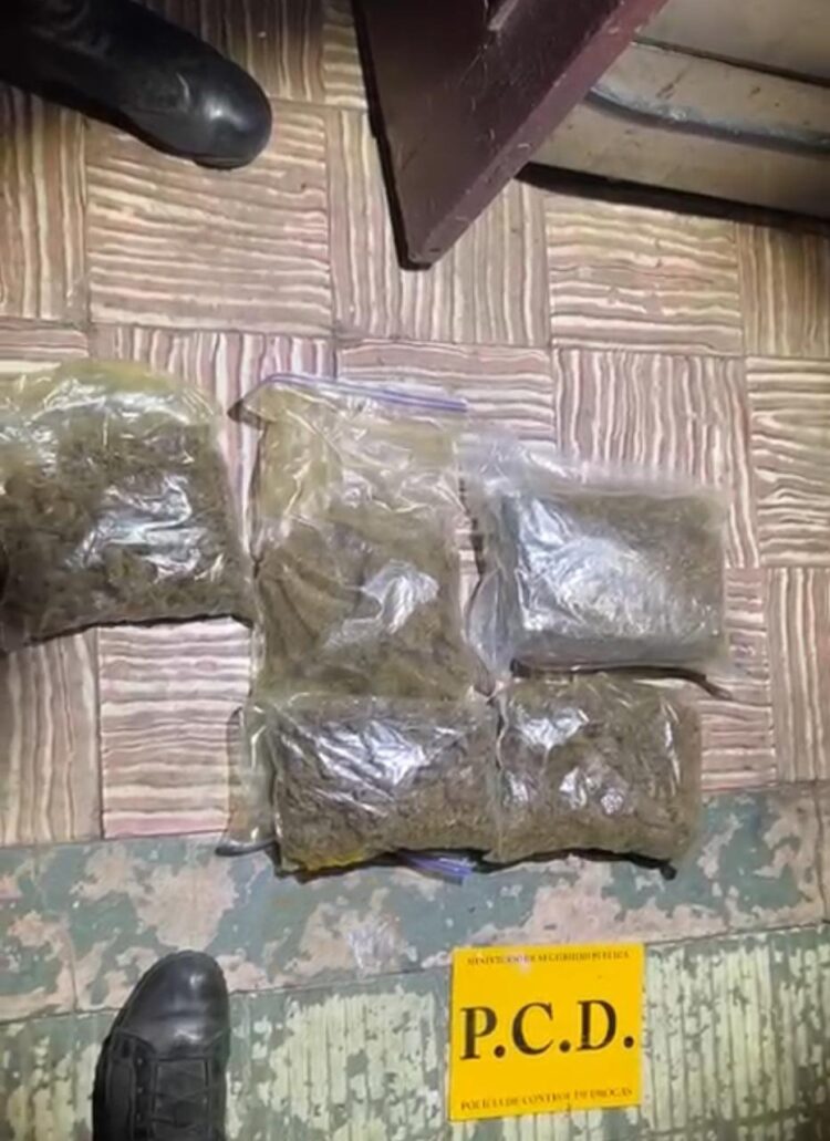 Dos detenidos y múltiples drogas decomisadas tras allanamiento en local comercial de Heredia