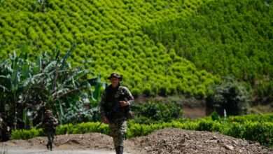 ONU revela dato clave: 47% del norte de Centroamérica tendría condiciones óptimas para cultivar coca