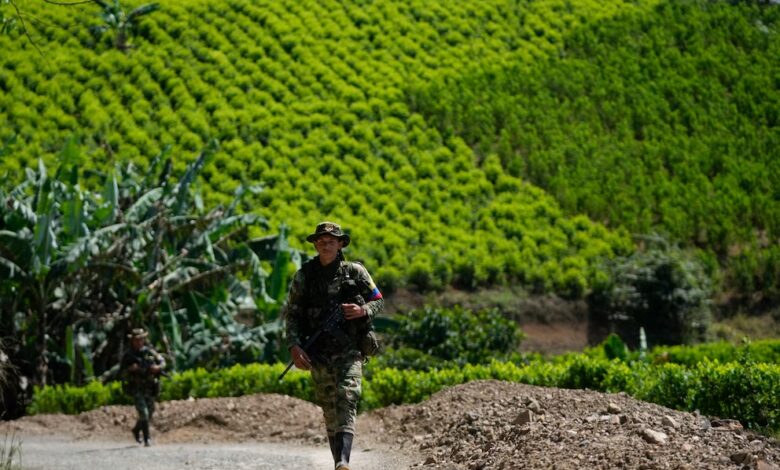 ONU revela dato clave: 47% del norte de Centroamérica tendría condiciones óptimas para cultivar coca