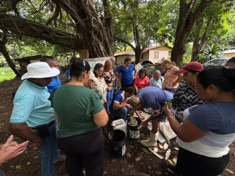 Biofábricas campesinas reducen más del 80% el uso de agroquímicos en fincas de Costa Rica
