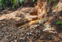 Colegio de Geólogos advierte impacto crítico en Crucitas: 10.000 hectáreas afectadas por minería ilegal