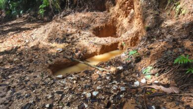 Colegio de Geólogos advierte impacto crítico en Crucitas: 10.000 hectáreas afectadas por minería ilegal