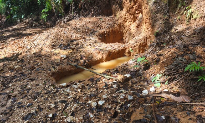 Colegio de Geólogos advierte impacto crítico en Crucitas: 10.000 hectáreas afectadas por minería ilegal