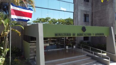 Mudanza del CNP al MAG permitirá ahorro anual de casi ₡400 millones